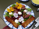 Brotsalat mit frischen Blüten