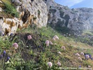 La beauté de notre région