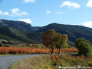 Automne dans les Corbières